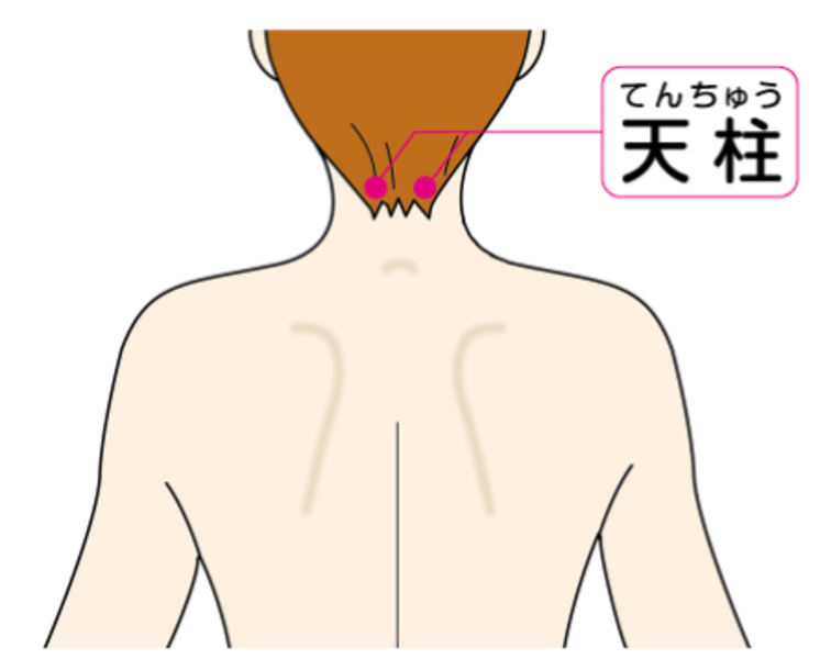 肩こりに効くツボ8選 鍼灸師が効果や押し方を解説 鍼灸院予約 検索サイト 健康にはり